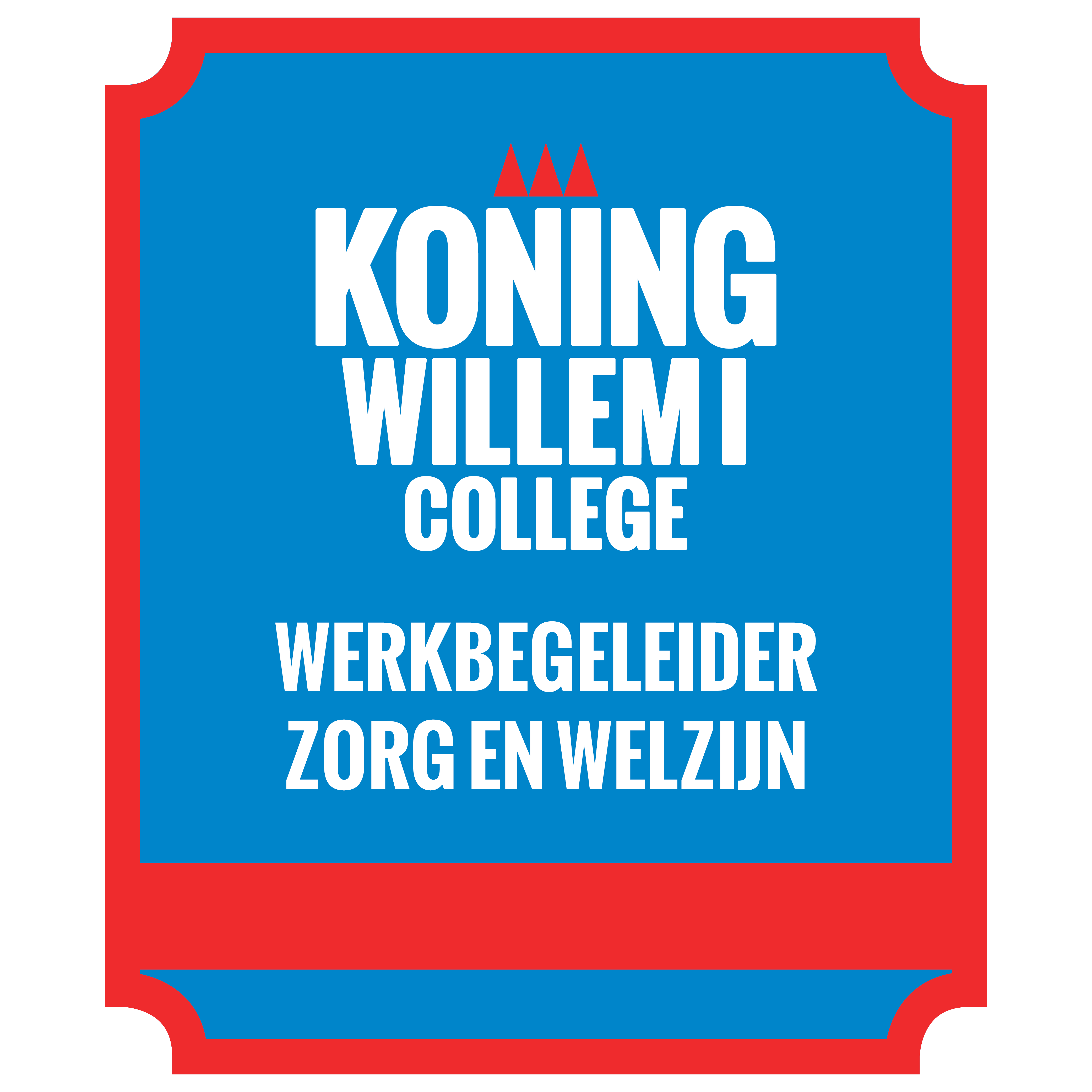 Werkbegeleider Zorg en Welzijn