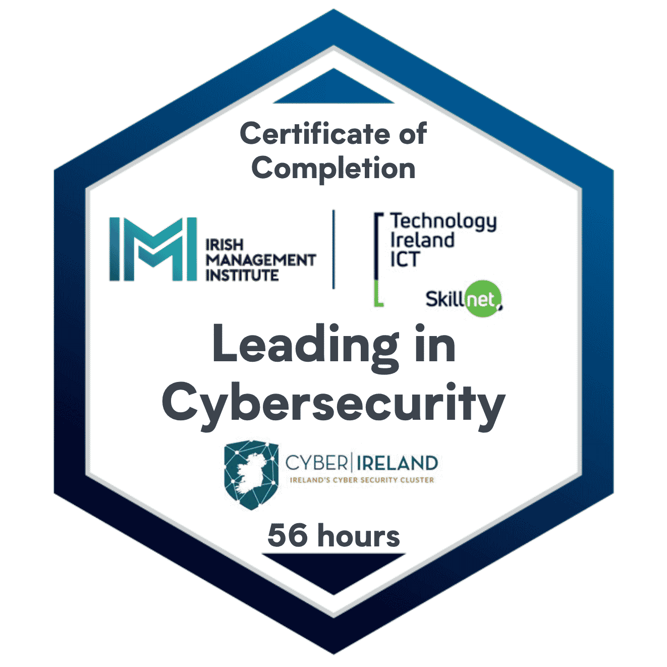 Leading in Cybersecurity