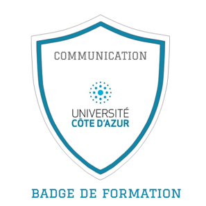Unité d’Enseignement à Visée Professionnalisante : Communication