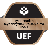 Työoikeuden täydennyskoulutusohjelma osa 1 (6 op)