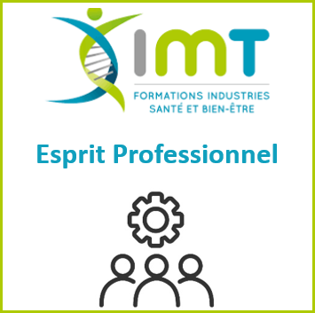 ESPRIT PROFESSIONNEL