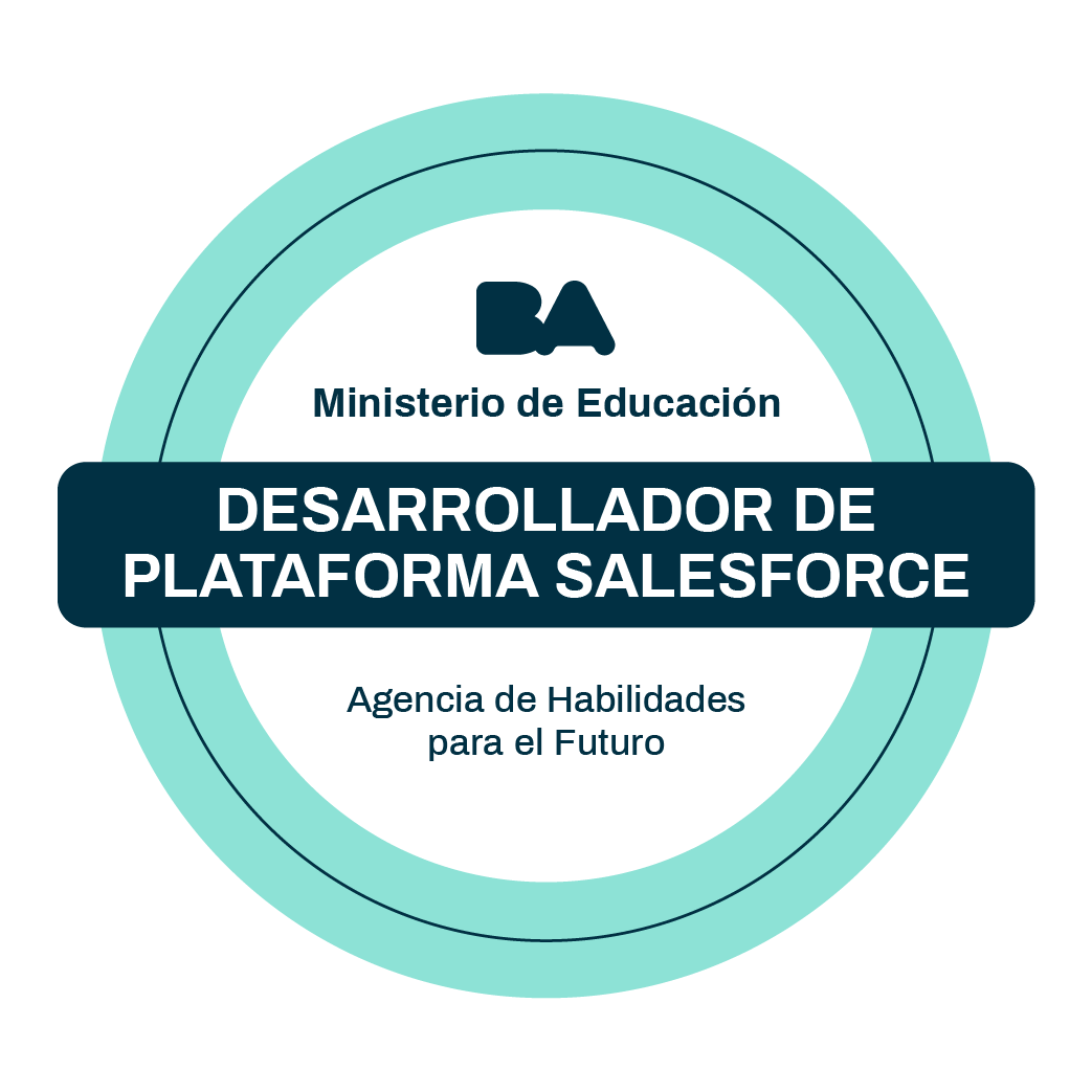 Desarrollador de Plataforma Salesforce