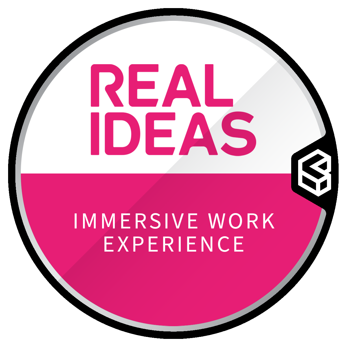 Immersive Work Experience