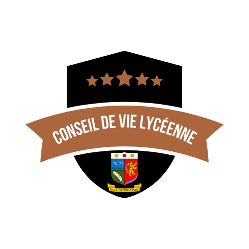 Membre du Conseil de Vie Lycéenne - Bronze