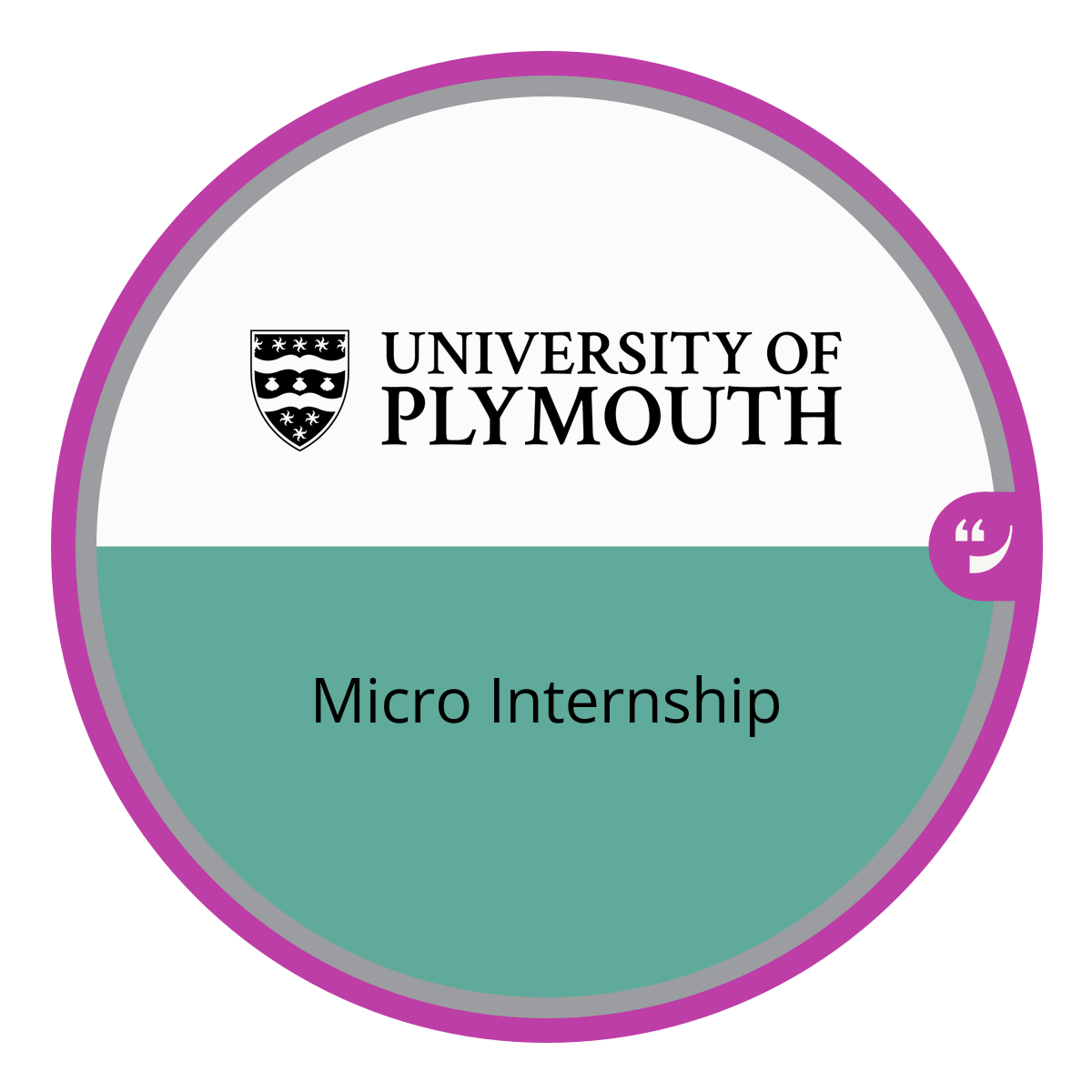 Micro Internship Programme
