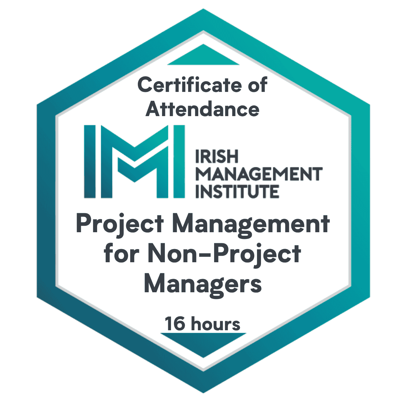 Project Management for Non-Project Managers