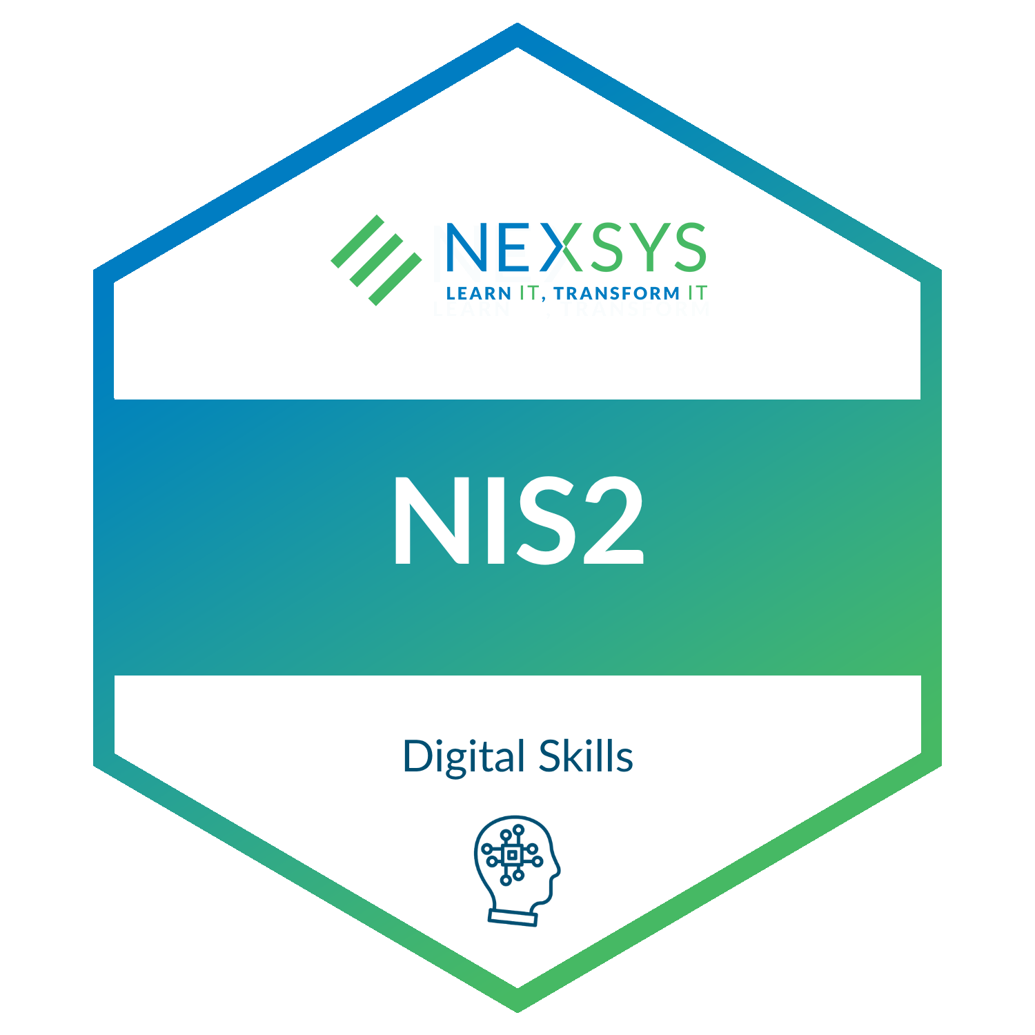 Corso NIS2: guida all'implementazione della direttiva