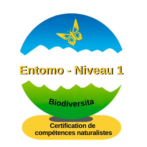 Entomo - Niveau 1