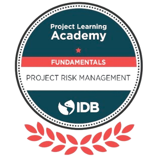 Risk Management in Projects - Fundamentals