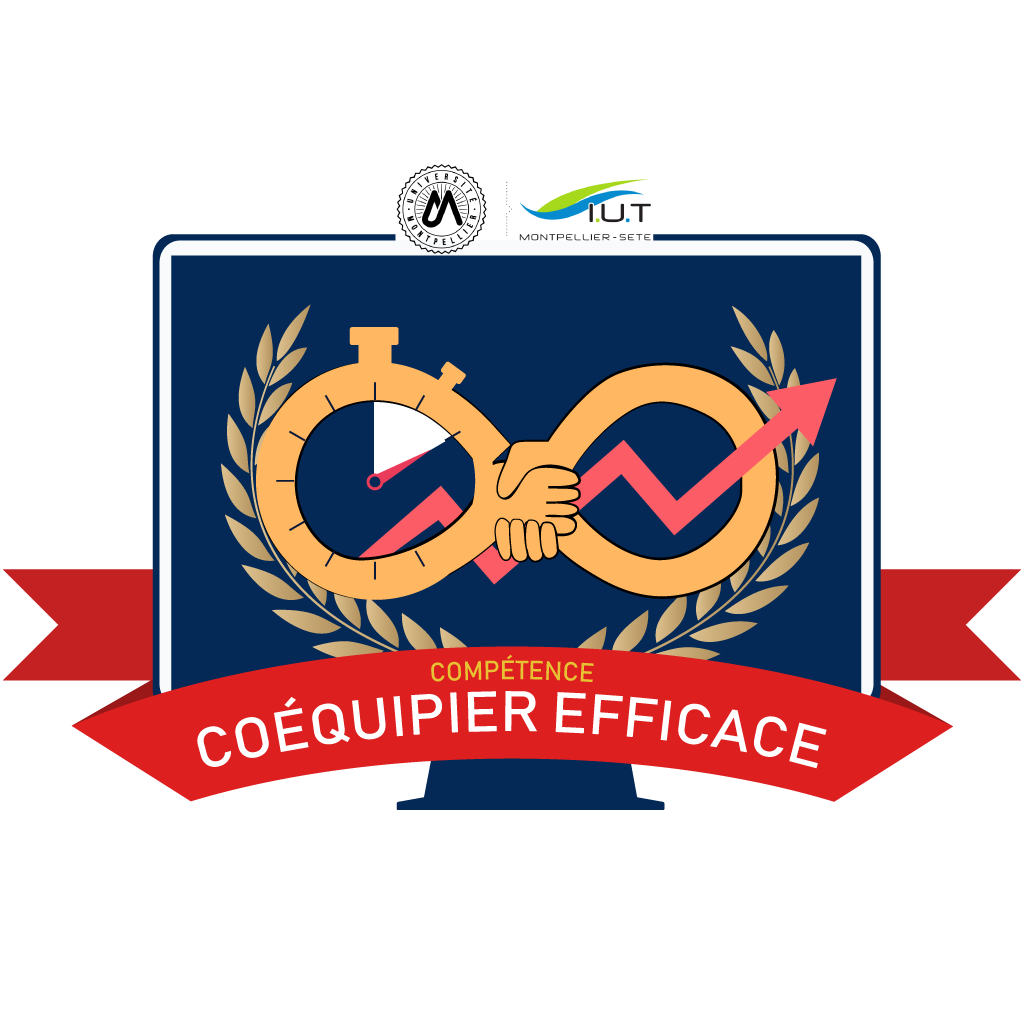 Coéquipier efficace