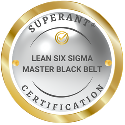 Lean Six Sigma Master Black Belt - Professional Certification