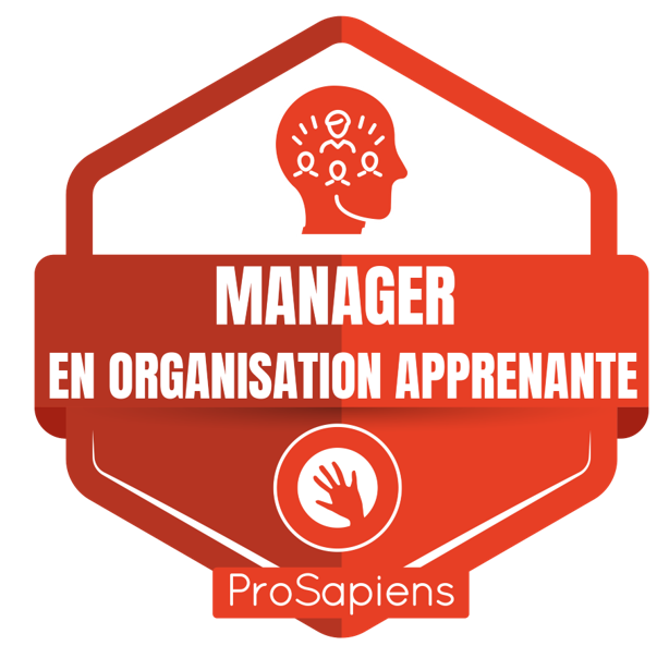 Manager en organisation apprenante