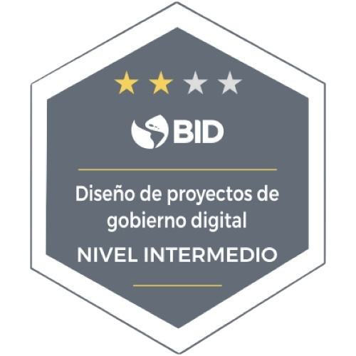 Diseño de proyectos de gobierno digital – Nivel intermedio