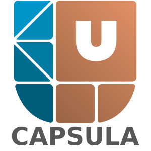 Translation capsules