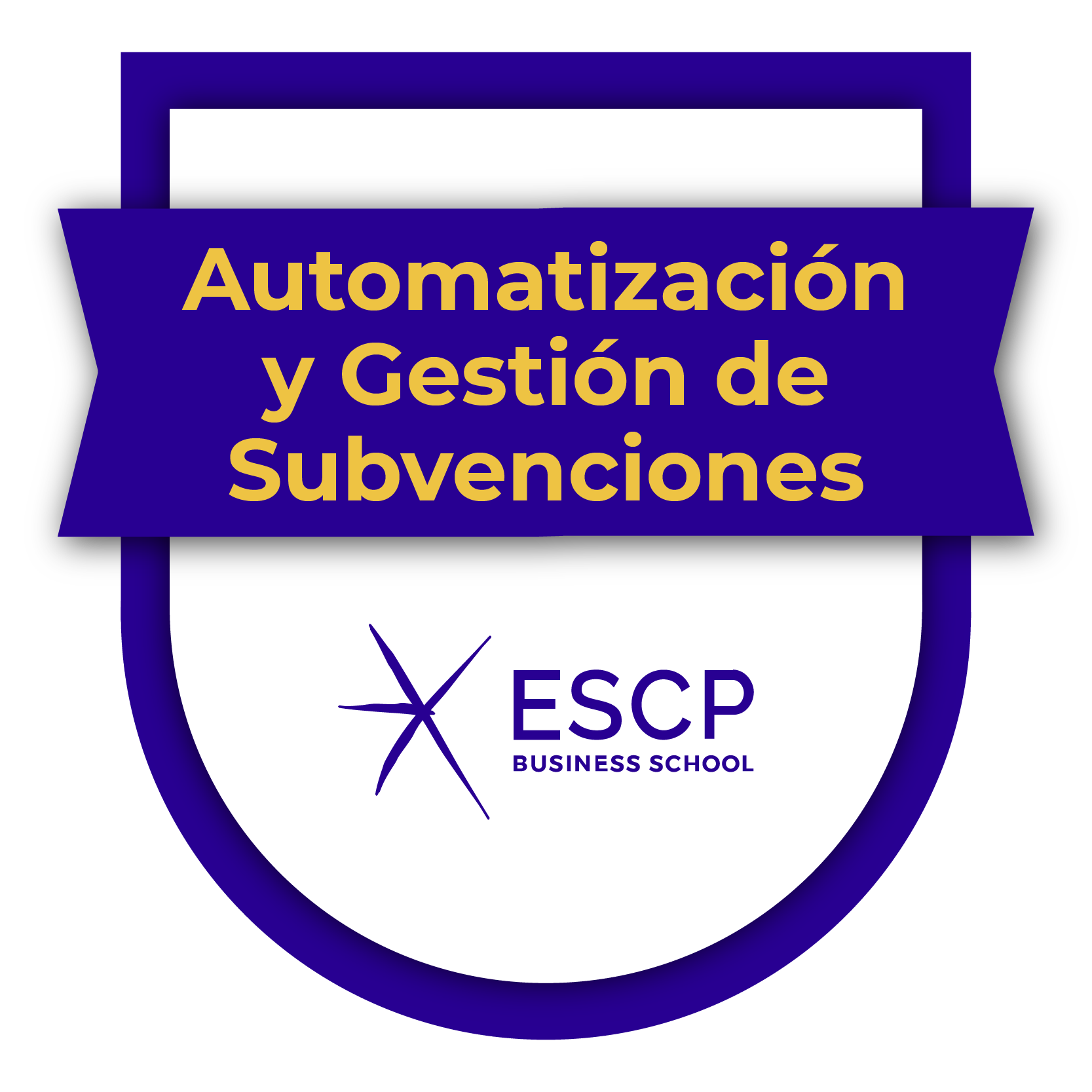 Automatización y Gestión de Subvenciones