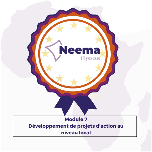 Développement de projets d'action au niveau local 