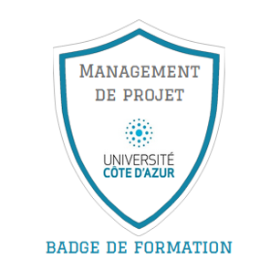 Unité d’Enseignement à Visée Professionnalisante : Management de Projet