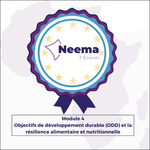 Objectifs de développement durable (ODD) et la résilience alimentaire et nutritionnelle (RAN) 