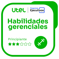 Habilidades Gerenciales - Principiante III         