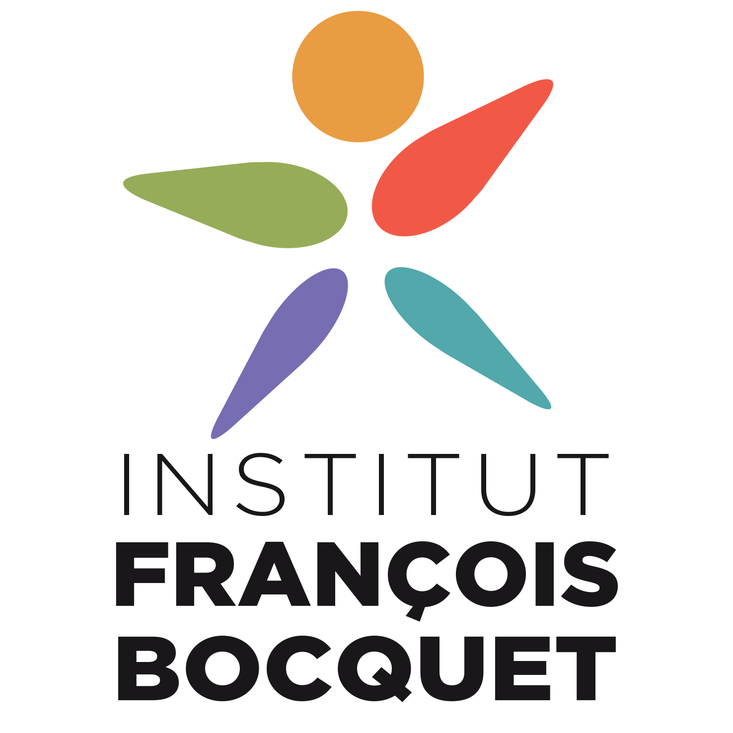 Institut François Bocquet