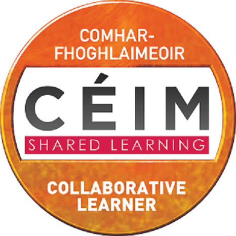 Collaborative Learner