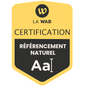 Améliorer la visibilité d’un site internet de TPE/PME grâce au référencement naturel (SEO) 