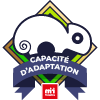 Capacité d’adaptation  - Niveau 2