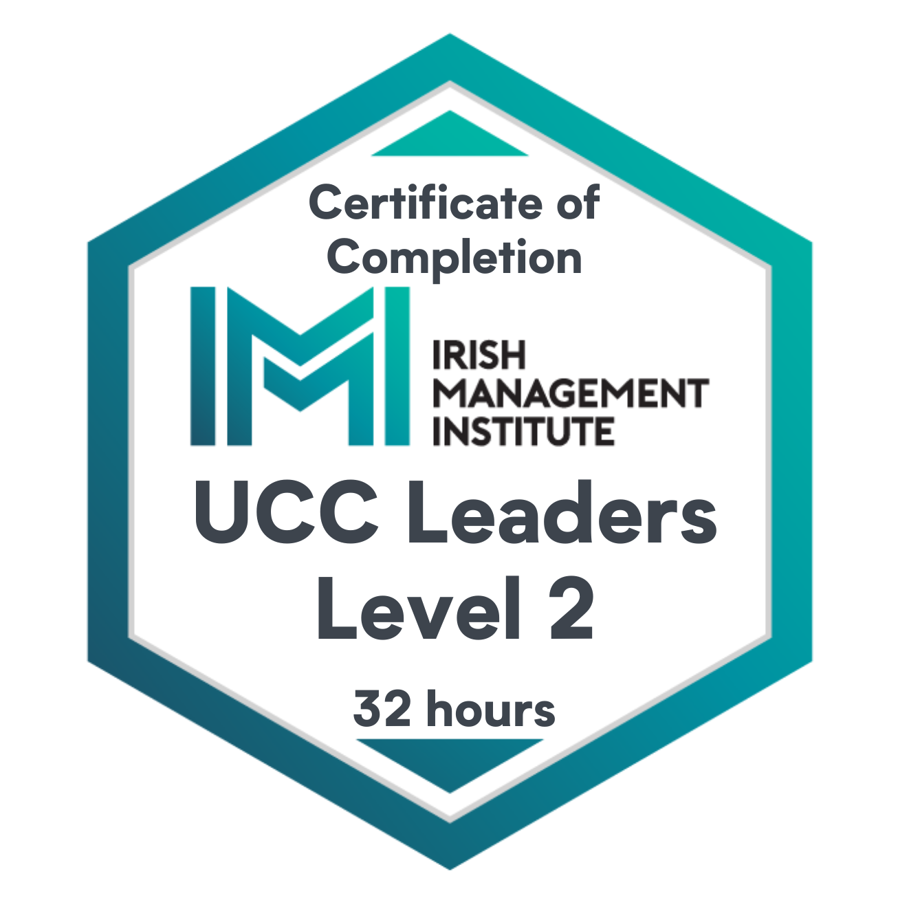 Completion of UCC Leaders Level 2 programme