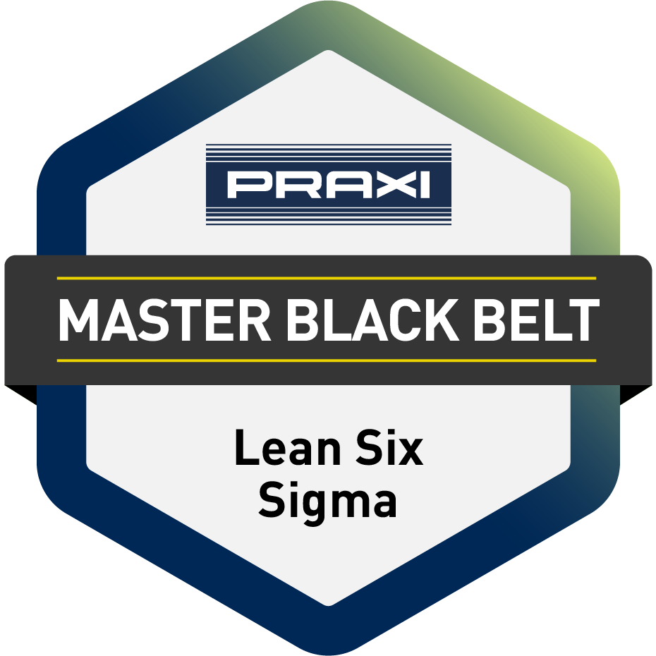 LEAN SIX SIGMA MASTER BLACK BELT