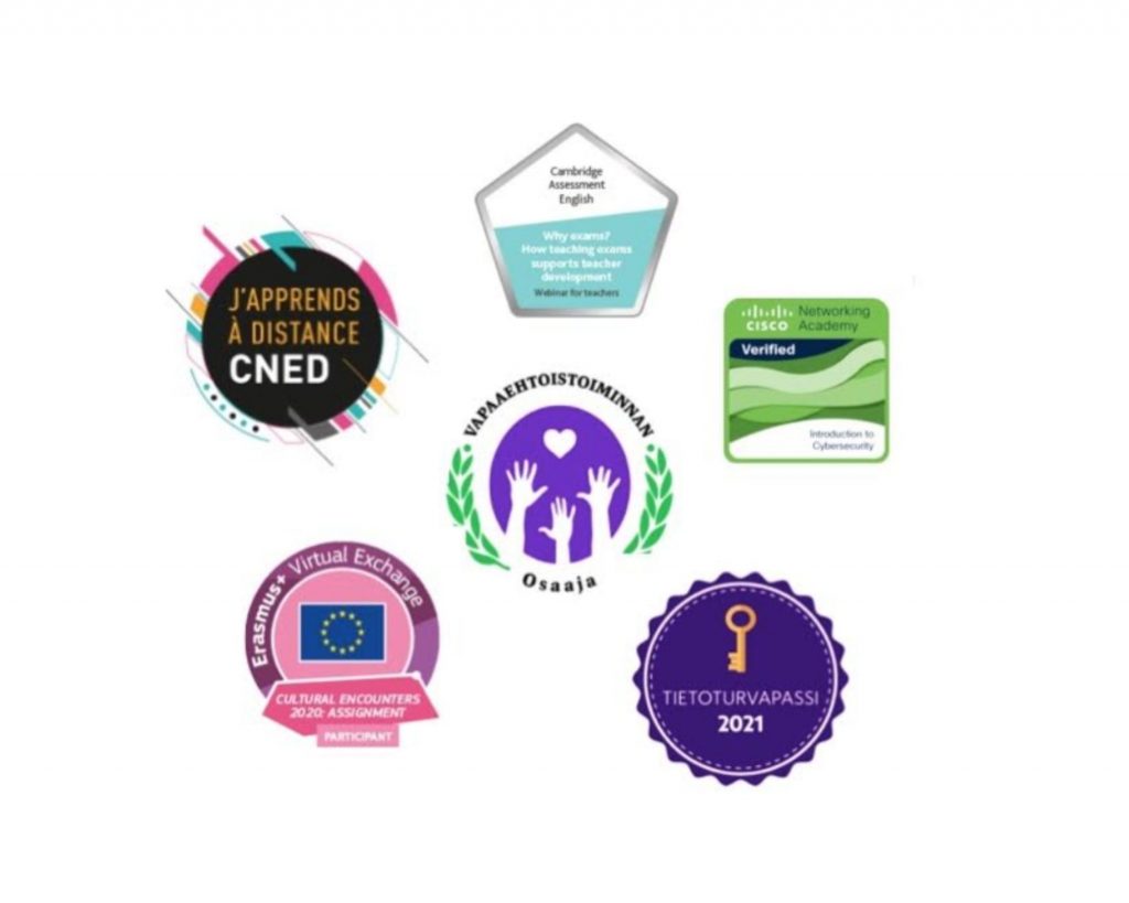 Digital Badges, Business Student Credentials